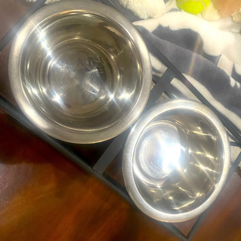 🔥Woof Dog Feeder
